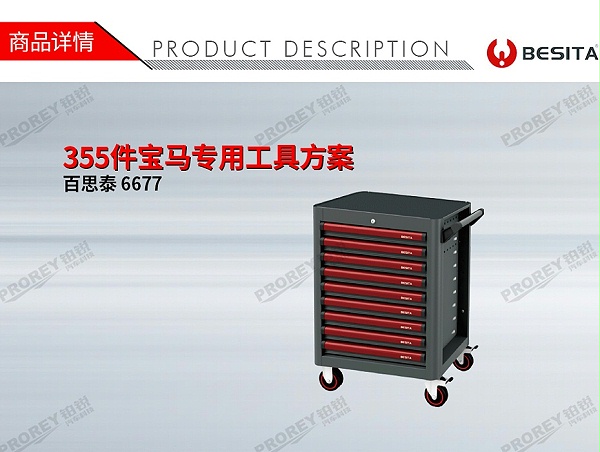 GW-130035450-百思泰 6677 355件宝马专用工具方案-1