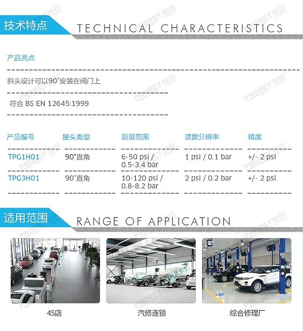 GW-110050063-PCL TPG3H01 胎压尺-2