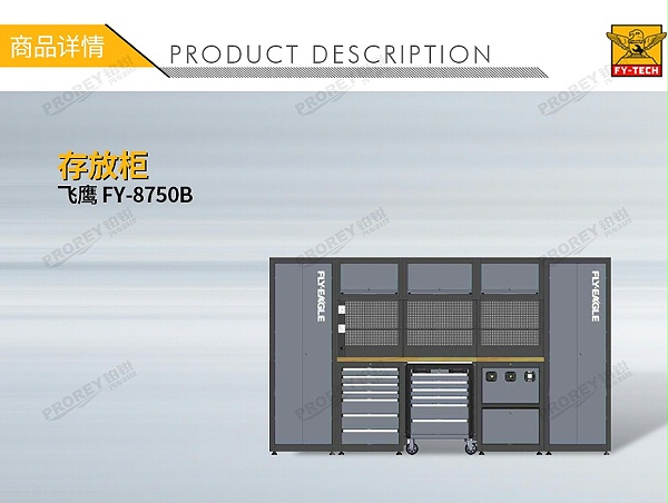 GW-130032747-飞鹰 FY-8750B 存放柜-1