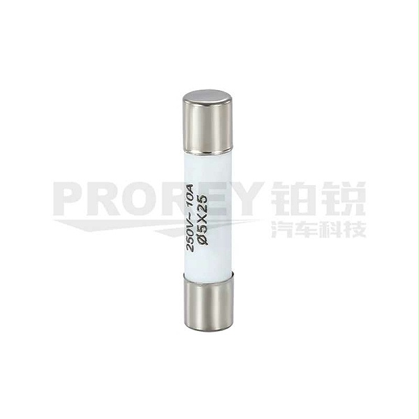 3A 陶瓷熔芯保险丝管RO55