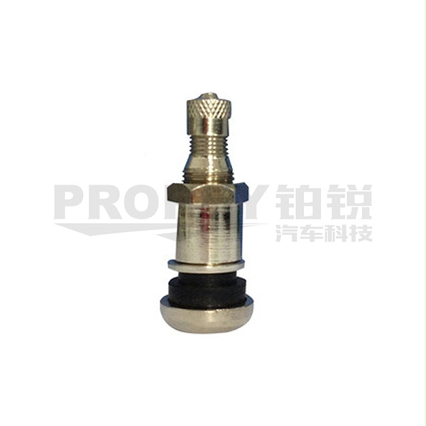 GW-110060001-TIPTOP蒂普拓普 全钢9622786 全铜镀铬气门嘴(全钢)单支装 主图