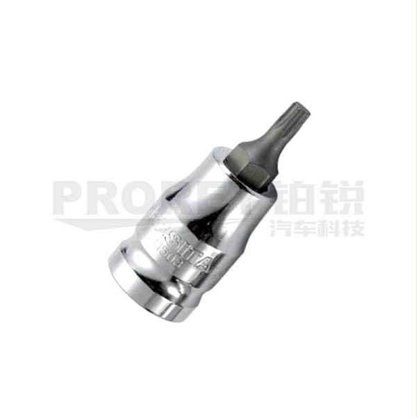 百思泰 11501 12.5MM系列花型旋具套筒 T20*55MM