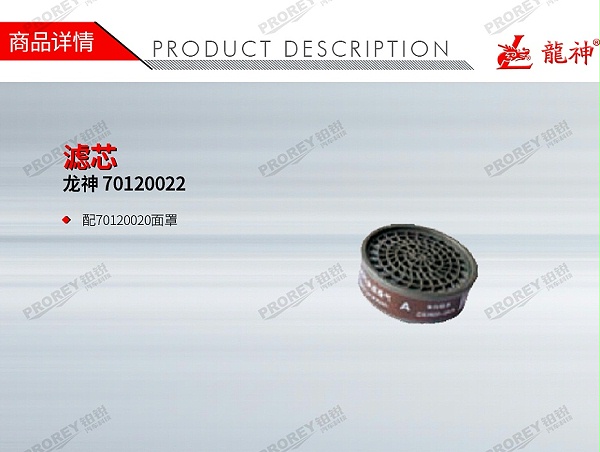 GW-150990769-龙神 70120022 滤芯-1