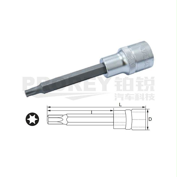 飞鹰 1312D31 1/2英寸 旋具套筒 星型 T50 100L