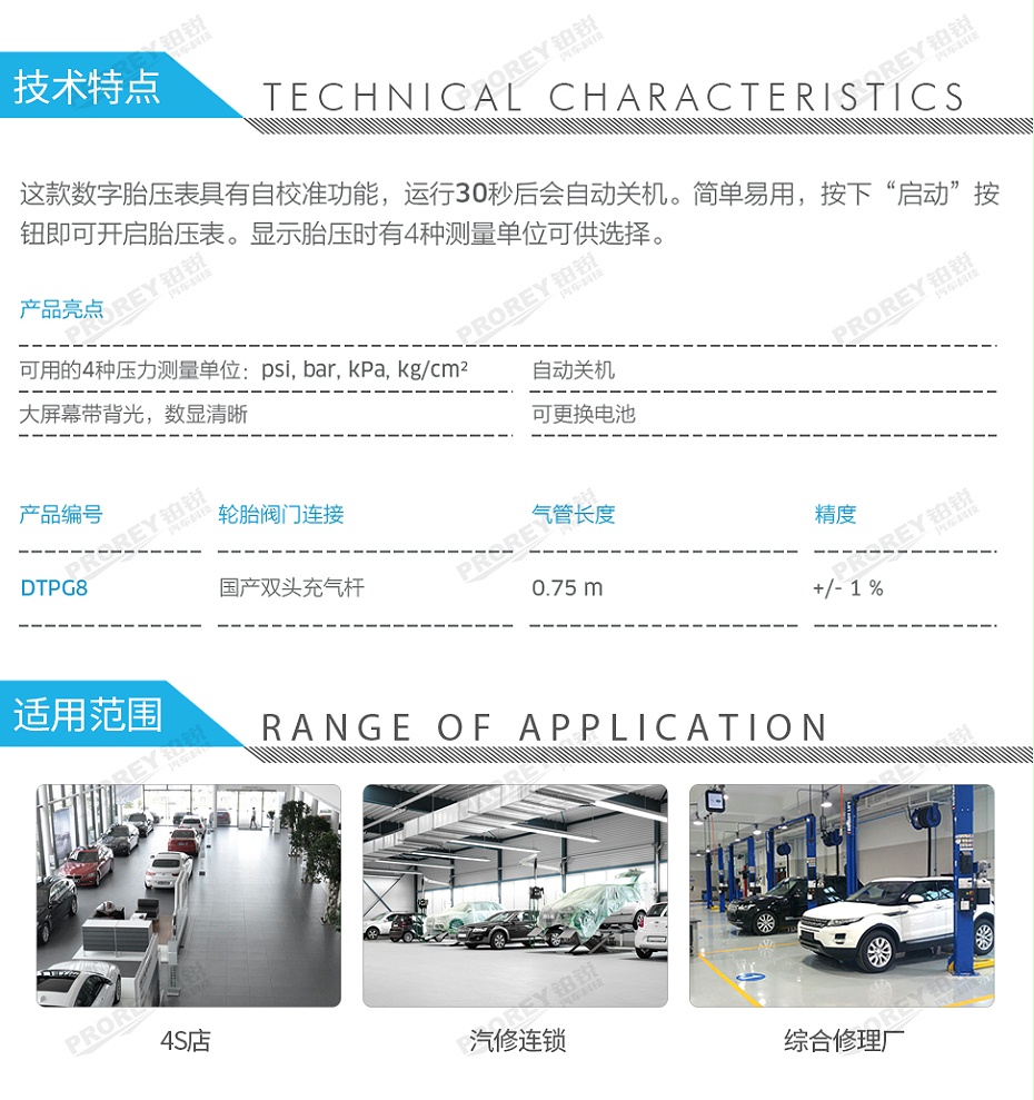 GW-110050043-PCL DTPG8 数显胎压表(0-12Bar)-2