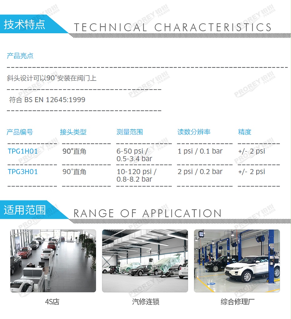 GW-110050063-PCL TPG3H01 胎压尺-2